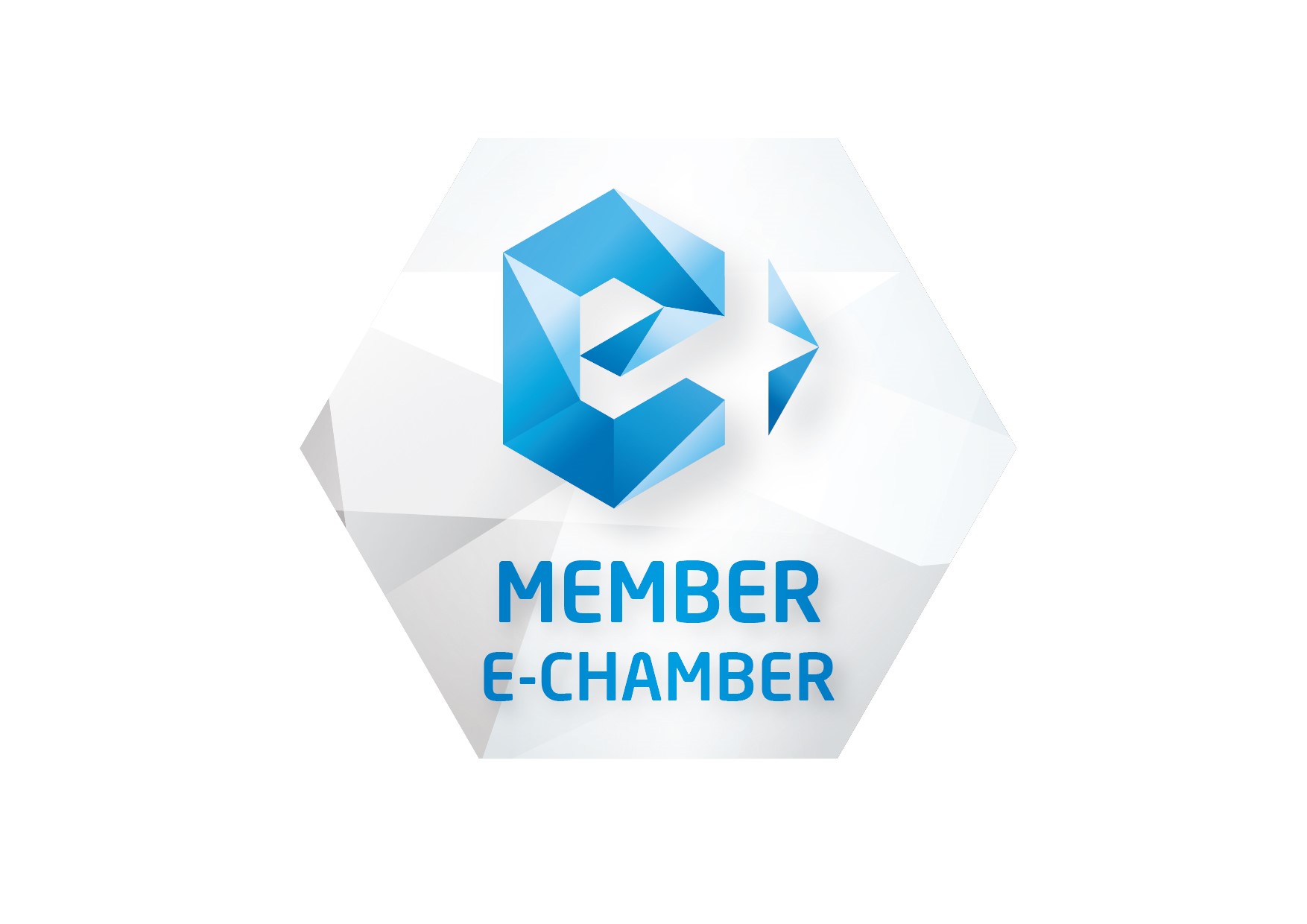 e-chamber